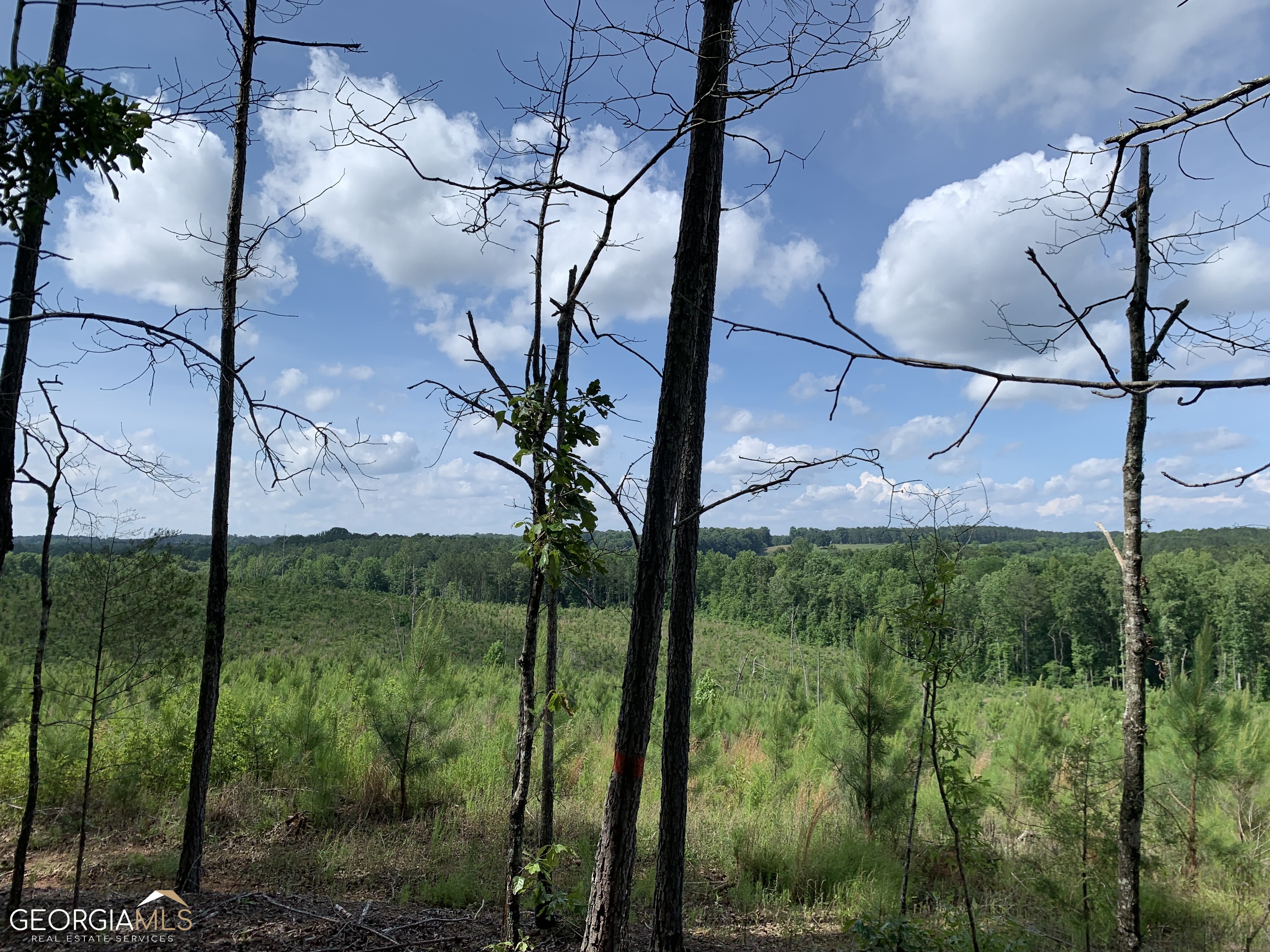 51-ac Noles Road Franklin, GA 30217 - Photo 2 of 6