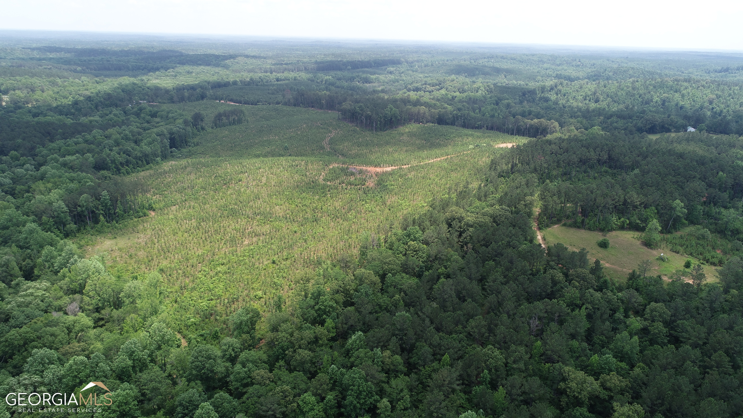 51-ac Noles Road Franklin, GA 30217 - Photo 3 of 6 a view of a forest with a yard