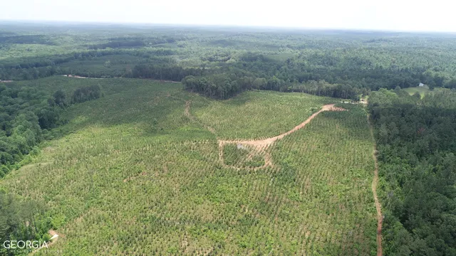 a map view of a lots of trees