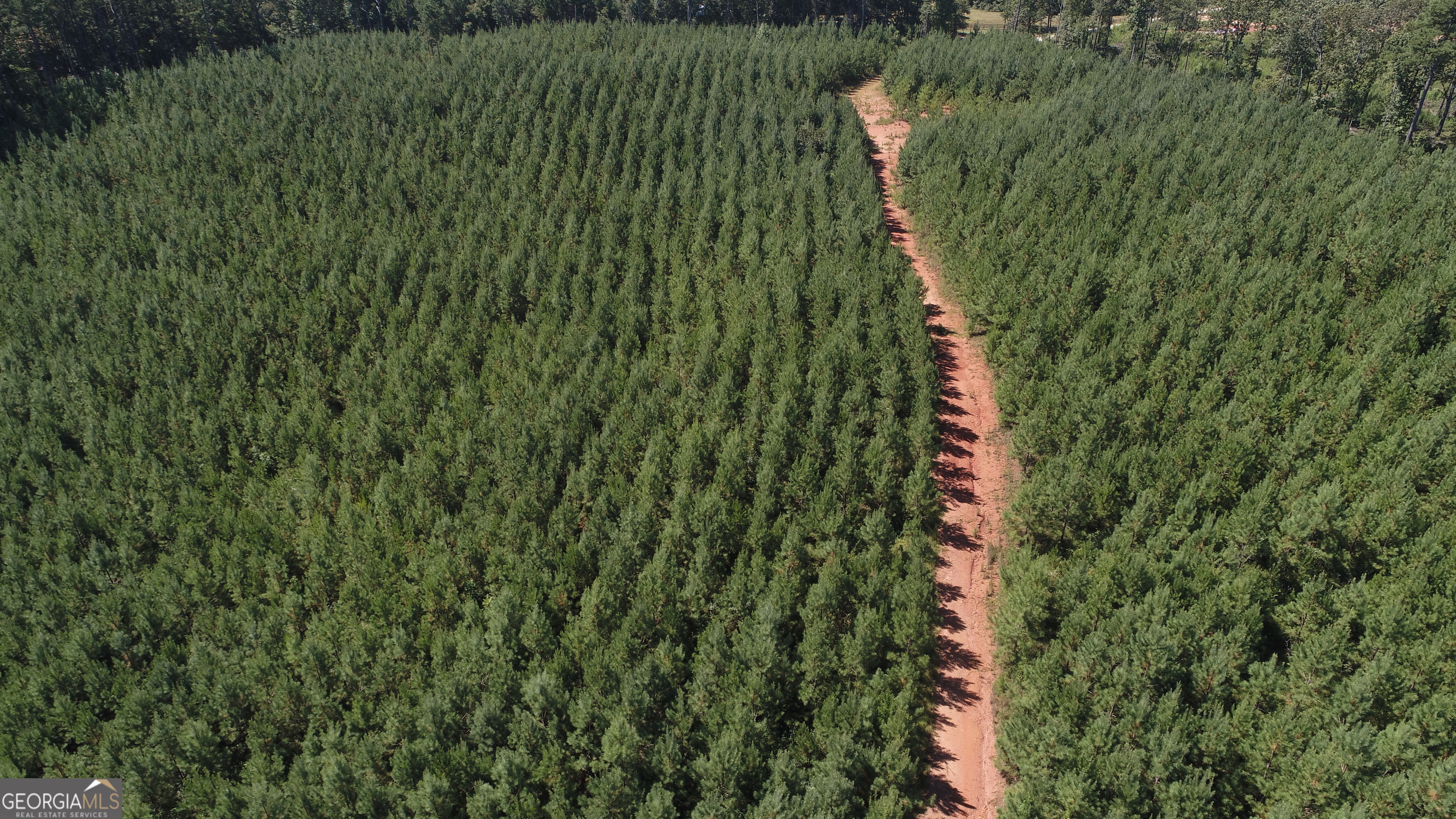 51-ac Noles Road Franklin, GA 30217 - Photo 5 of 6 a map view of a lots of trees