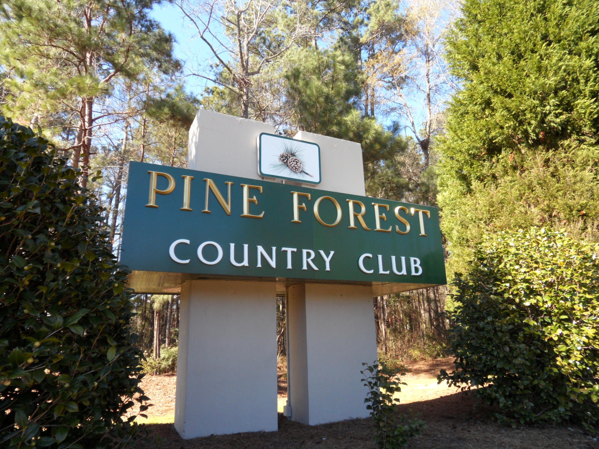 164 Hickory Ridge Way Summerville, SC 29483 - Photo 31 of 75 PF CC Monument
