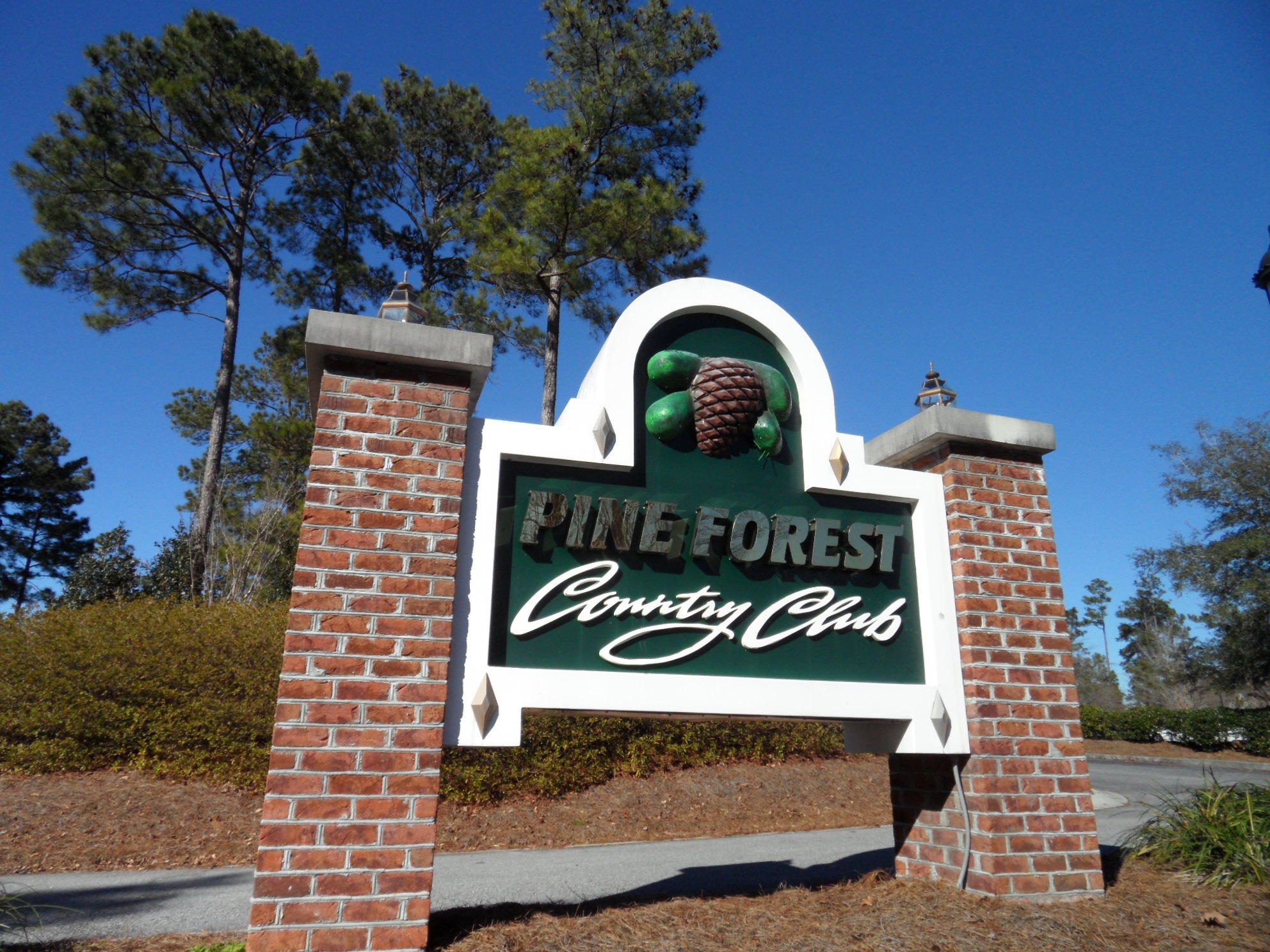 164 Hickory Ridge Way Summerville, SC 29483 - Photo 40 of 75 PF CC Monument 2