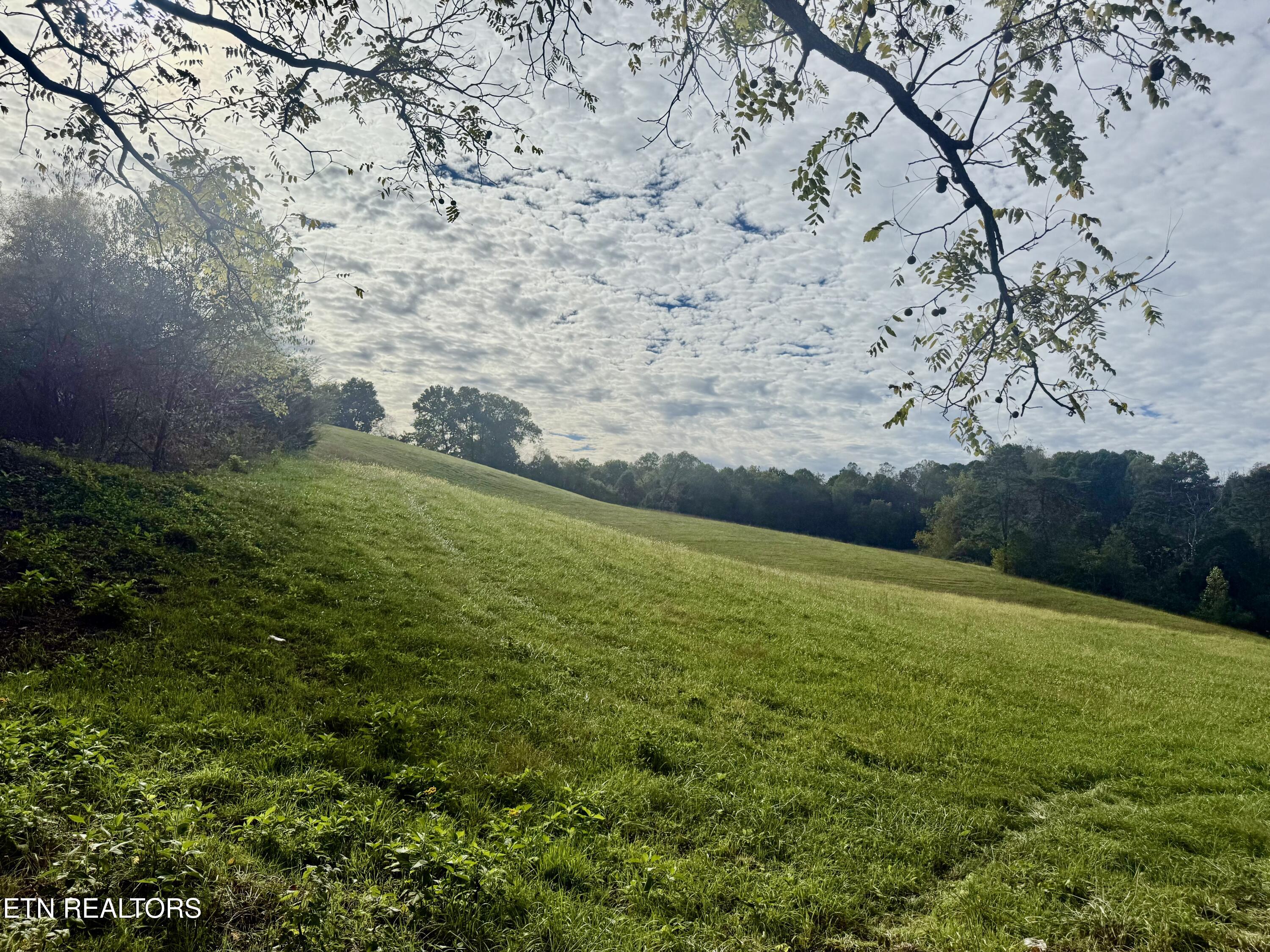 Harmon Road New Tazewell, TN 37825 - Photo 6 of 7 IMG_8446