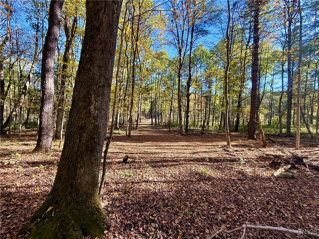 0 West Lake Road De Ruyter, NY 13052 - Photo 11 of 15