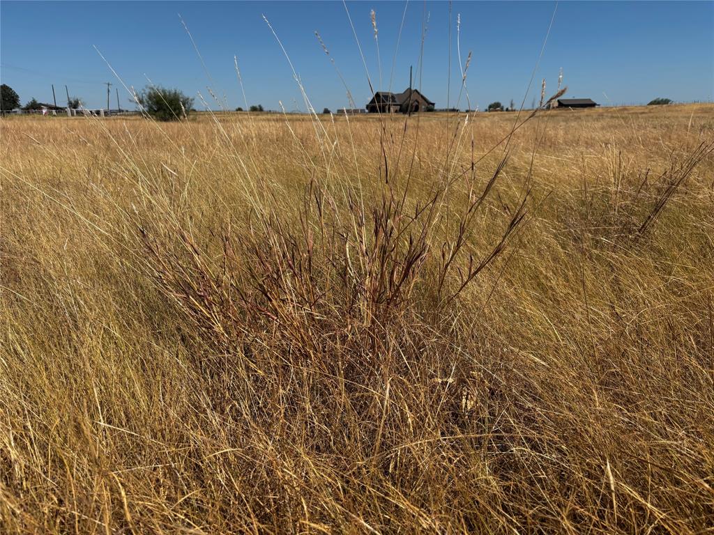 0 Melton Road Sanger, TX 76266 - Photo 12 of 17 Gallery Image 12
