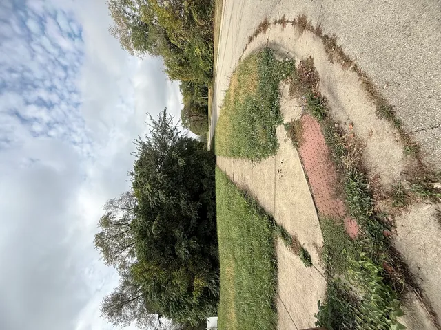 a view of a yard in front of house