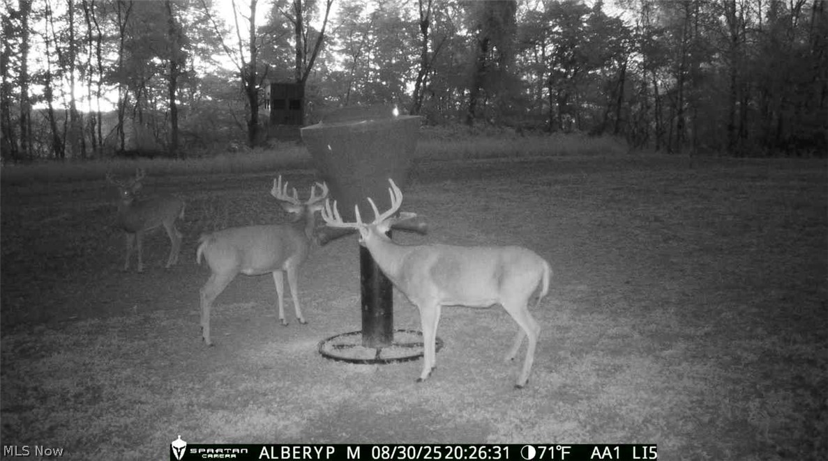 Ridge Road Southeast Uhrichsville, OH 44683 - Photo 41 of 49