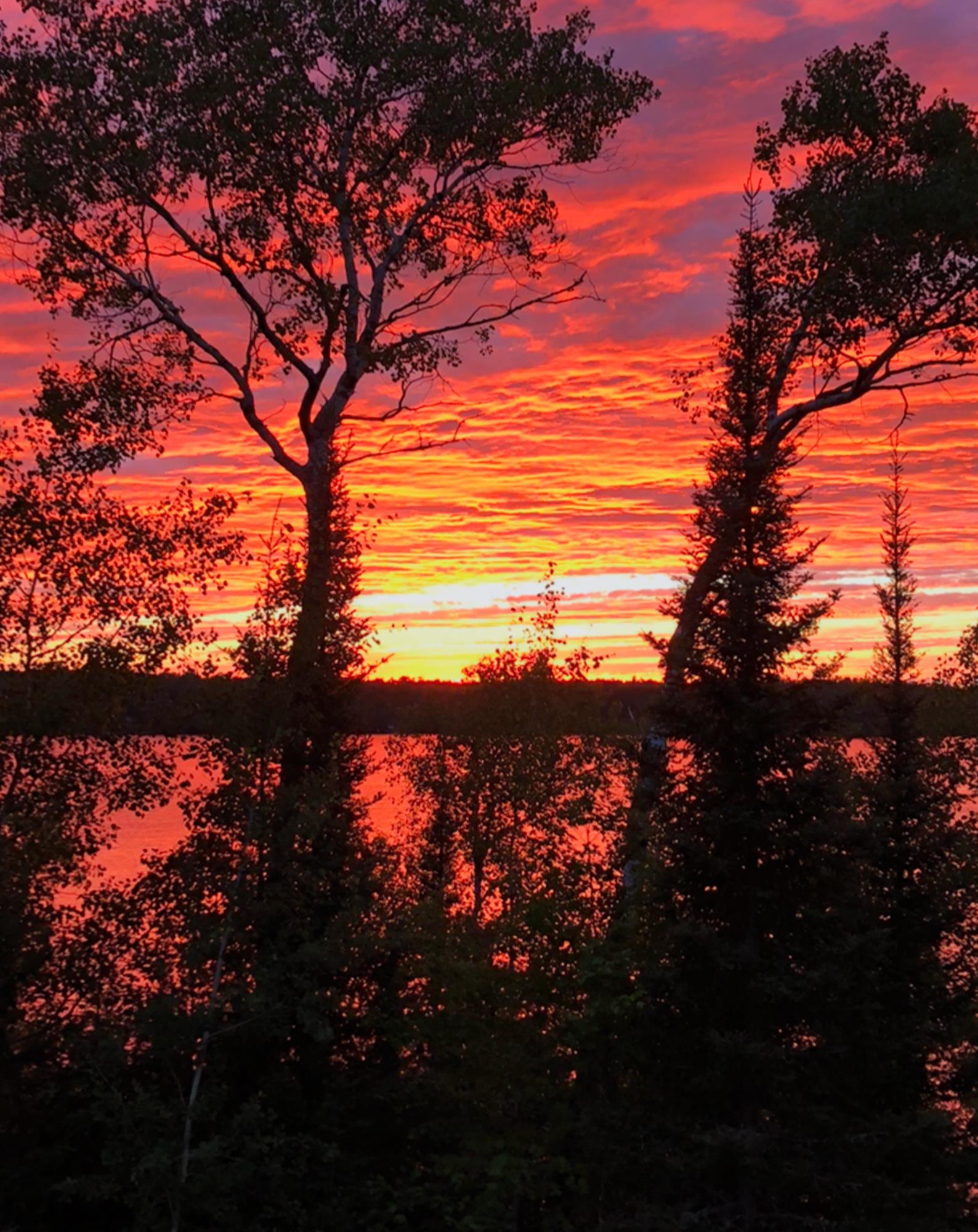 631 Circle Drive Ely, MN 55731 - Photo 93 of 95