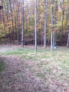 342 Pond Lick Road Olympia, KY 40358 - Photo 4 of 29 Photo 4