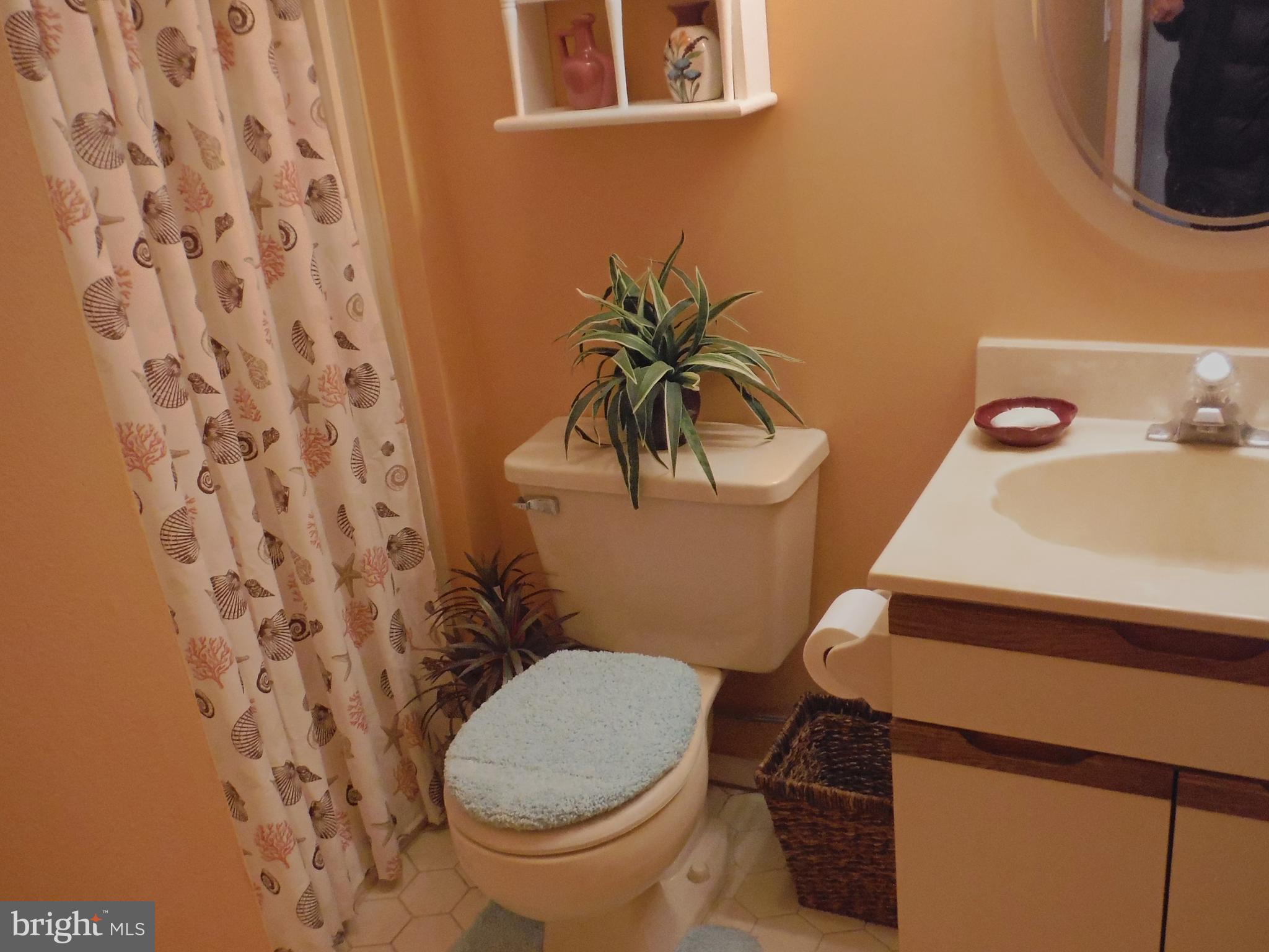 1149 Radio Road Tuckerton, NJ 08087 - Photo 8 of 17 Gallery Image 8