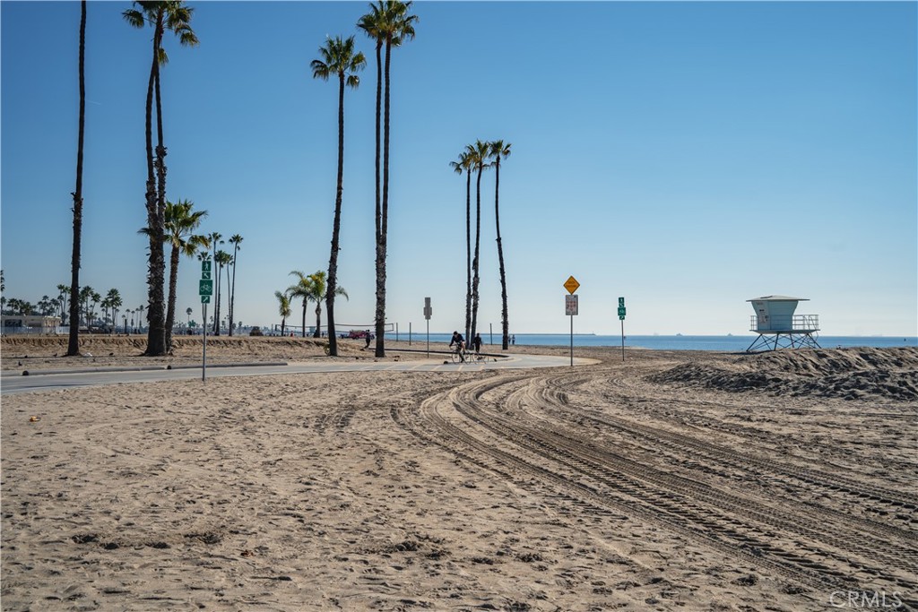 150 The Promenade North, Unit 202 Long Beach, CA 90802 - Photo 57 of 59 a view of a ocean with a palm tree