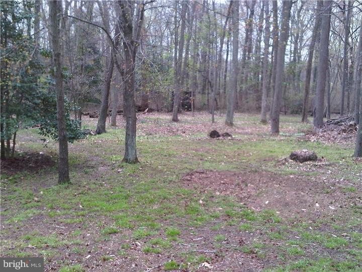 937 Monroeville Road Mullica Hill, NJ 08062 - Photo 10 of 25 View