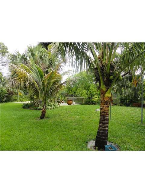 213 Southwest 5th Street Hallandale Beach, FL 33009 - Photo 4 of 4 Exterior Back