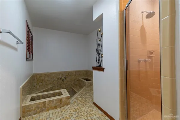 $2,450 | 313 Xanthisma Avenue, McAllen, TX 78504