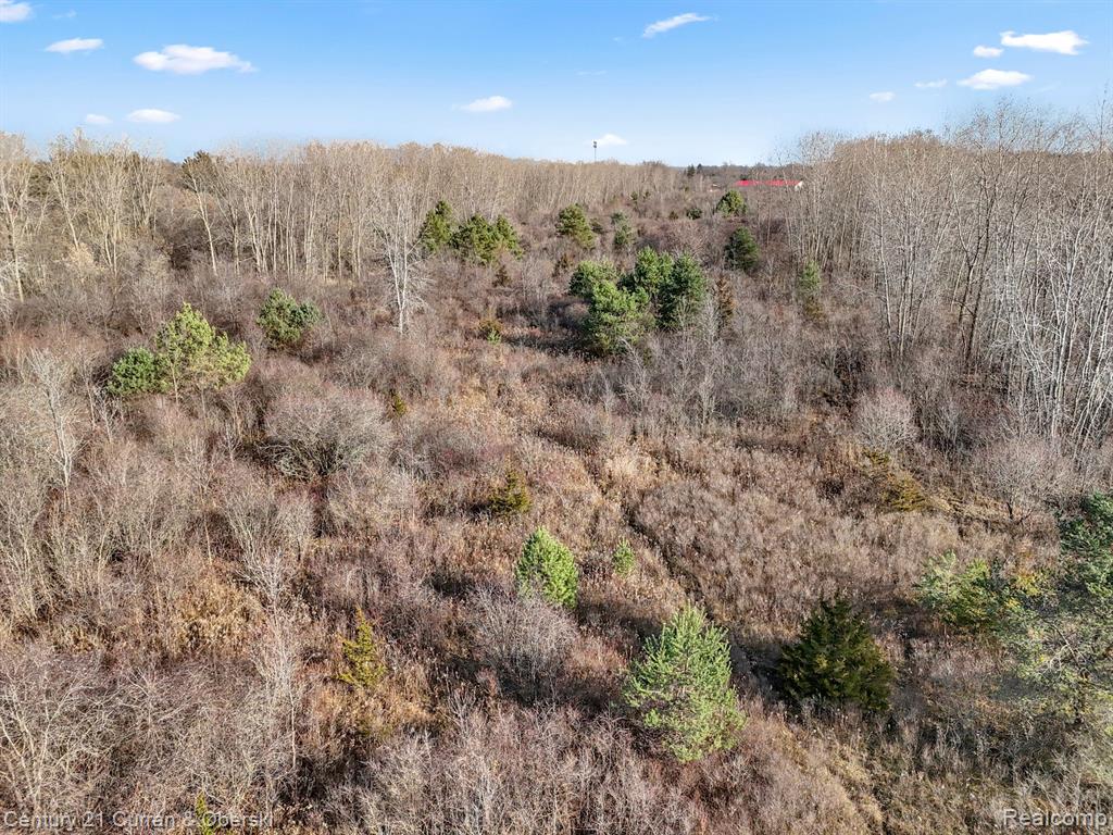 0 Raubinger Road Swartz Creek, MI 48473 - Photo 27 of 45 Gallery Image 27