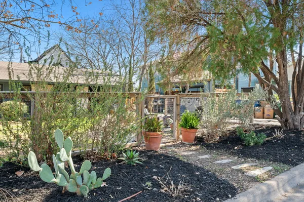 a view of a path along with potted plants and large trees