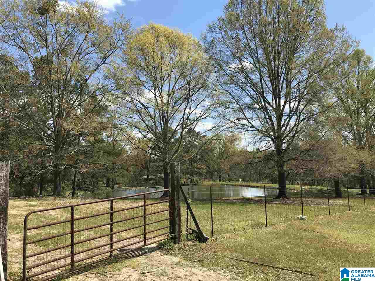 346 Hunters Lane Vandiver, AL 35176 - Photo 18 of 38