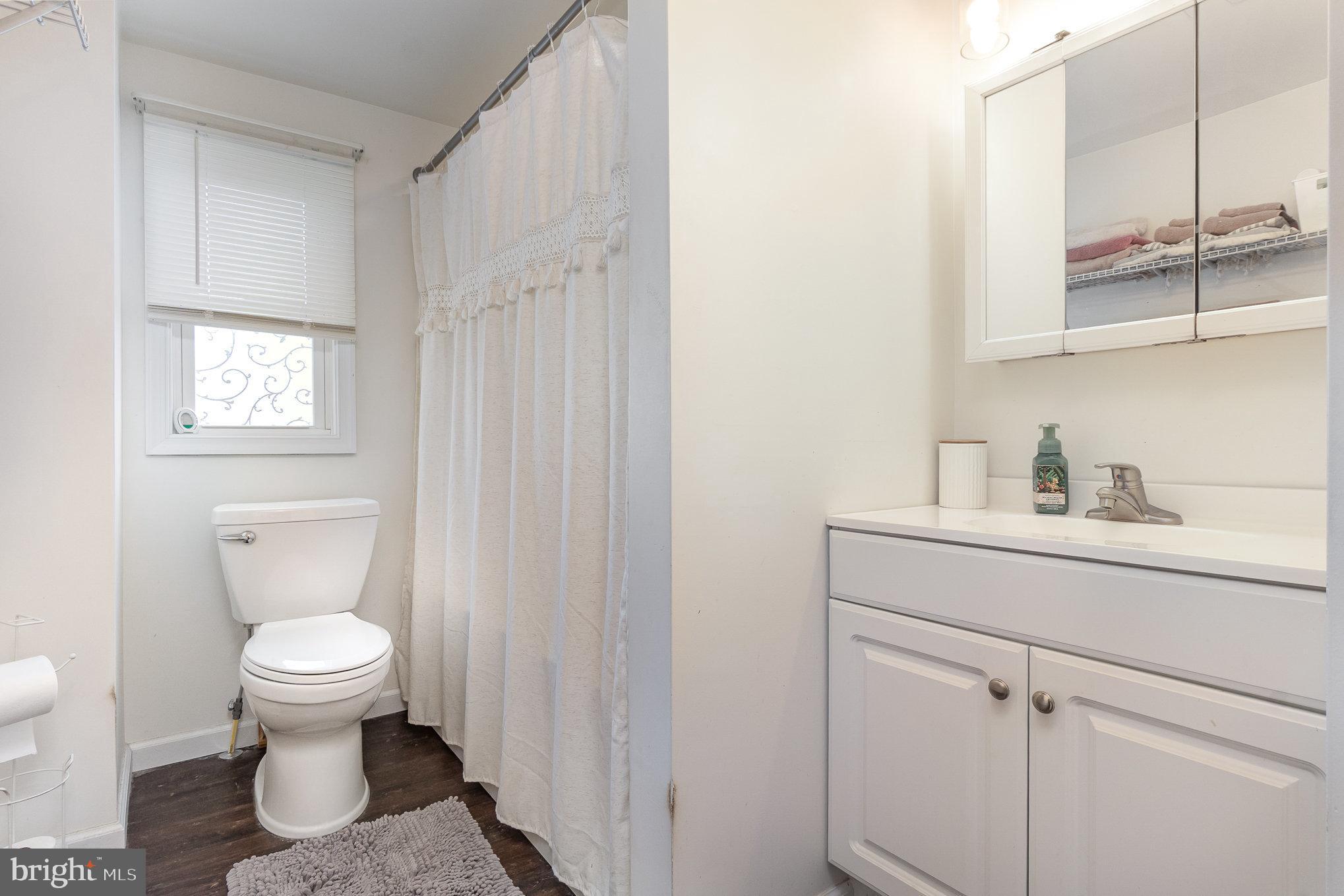 15 Mount Street Rising Sun, MD 21911 - Photo 20 of 30 a bathroom with a toilet a sink and mirror