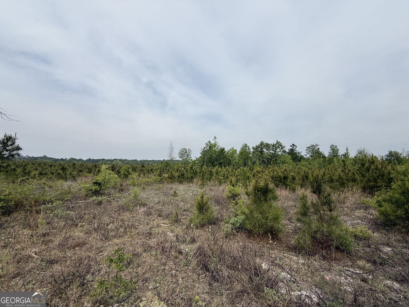 7 Cedar Grove Road Dublin, GA 31021 - Photo 4 of 10
