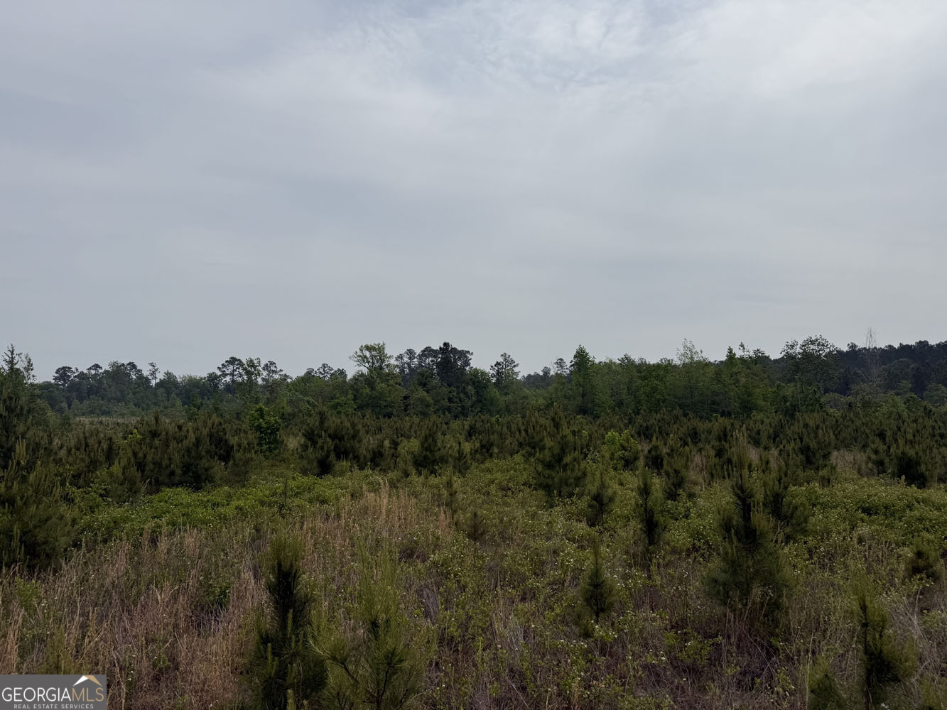 7 Cedar Grove Road Dublin, GA 31021 - Photo 6 of 10