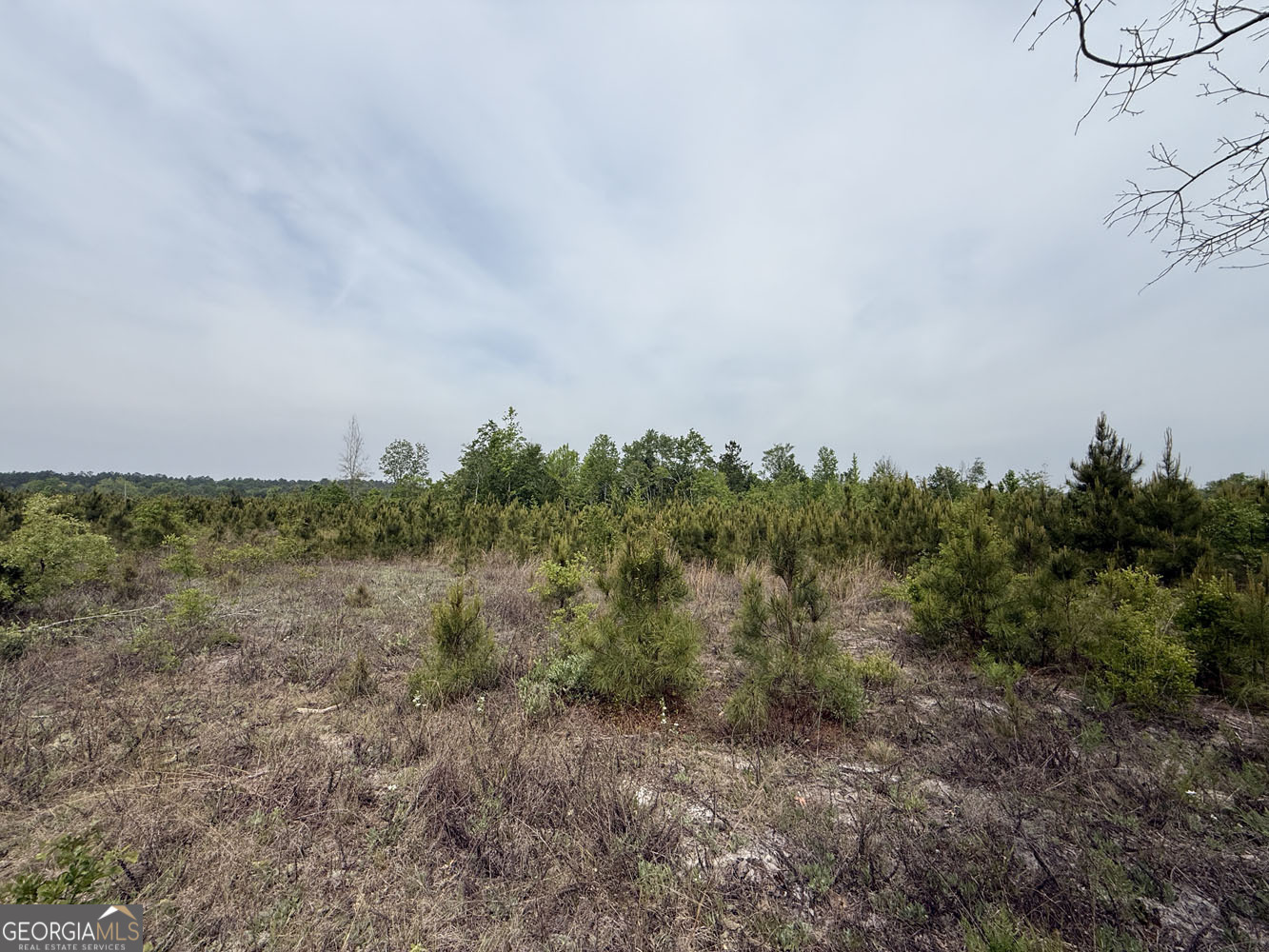 7 Cedar Grove Road Dublin, GA 31021 - Photo 9 of 10