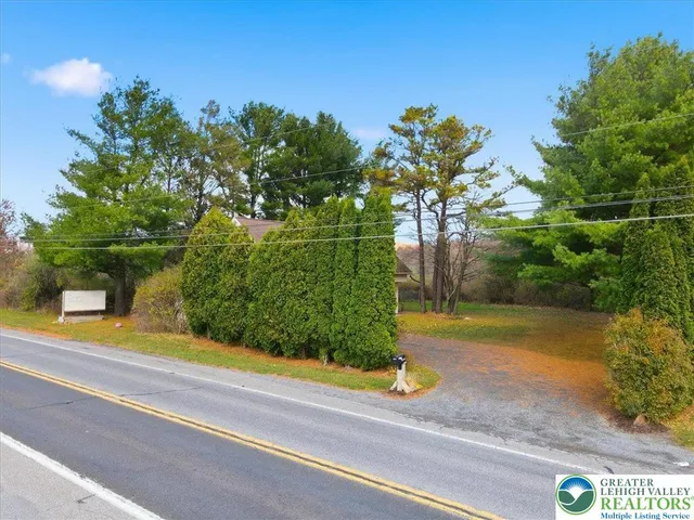a view of a yard with plants