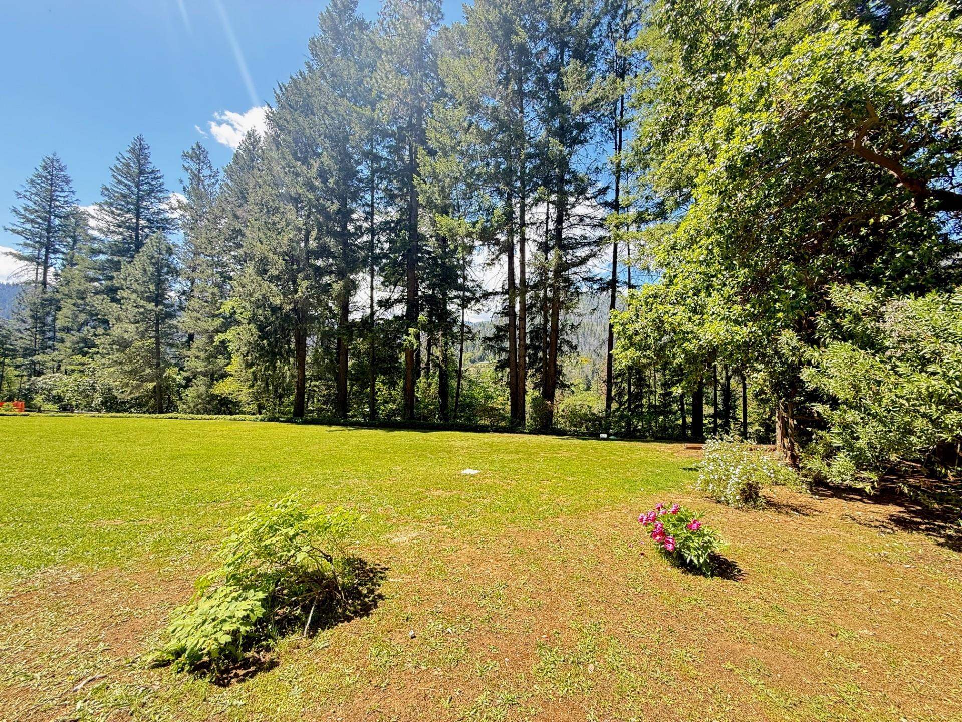 814 Curly Jack Road Happy Camp, CA 96039 - Photo 33 of 49 Gallery Image 33