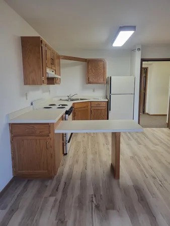 $1,000 | 609 Main Street South, Unit 4, Renville, MN 56284