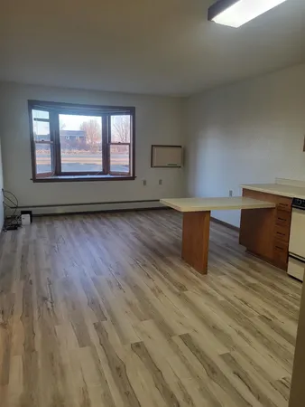 $1,000 | 609 Main Street South, Unit 4, Renville, MN 56284