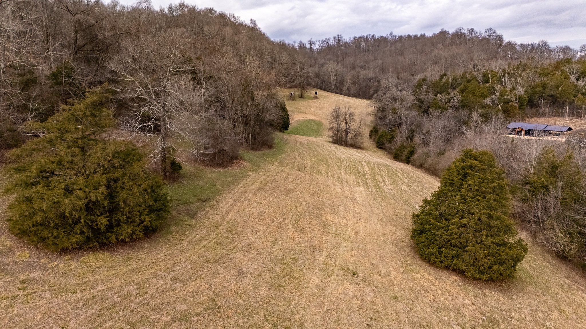3680 Diana Ridge Road Pulaski, TN 38478 - Photo 11 of 34