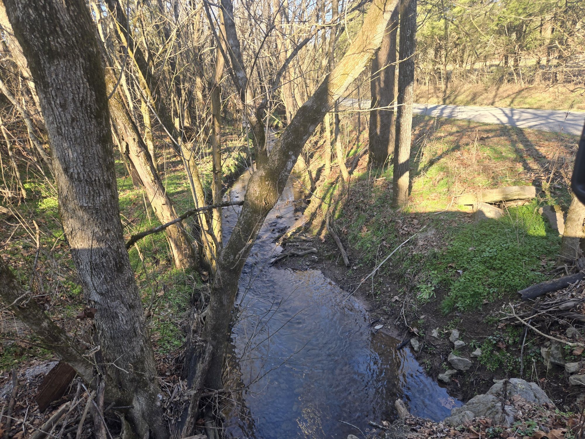 3680 Diana Ridge Road Pulaski, TN 38478 - Photo 3 of 34