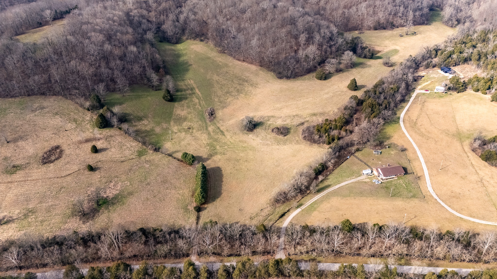 3680 Diana Ridge Road Pulaski, TN 38478 - Photo 4 of 34