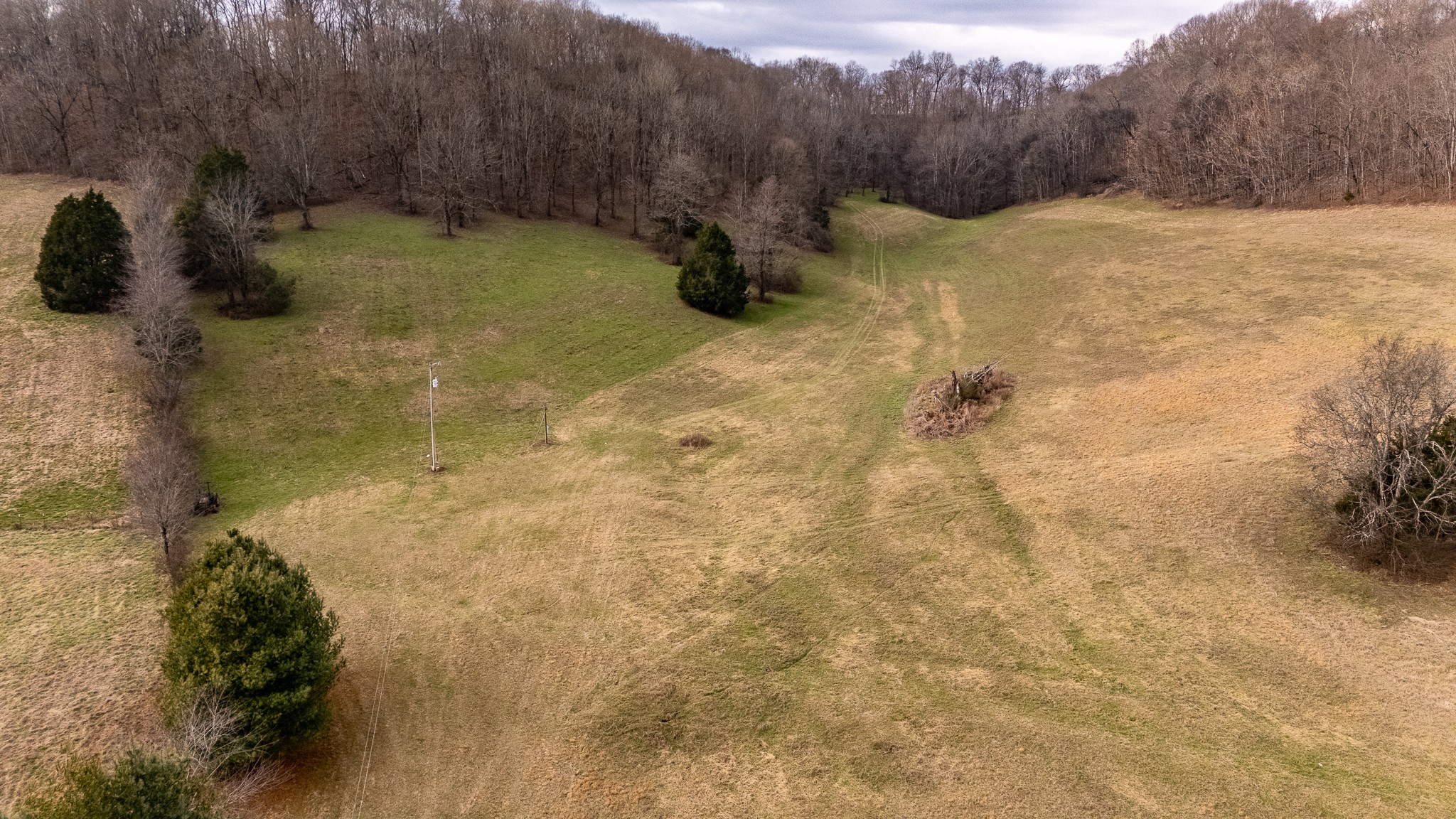 3680 Diana Ridge Road Pulaski, TN 38478 - Photo 8 of 34