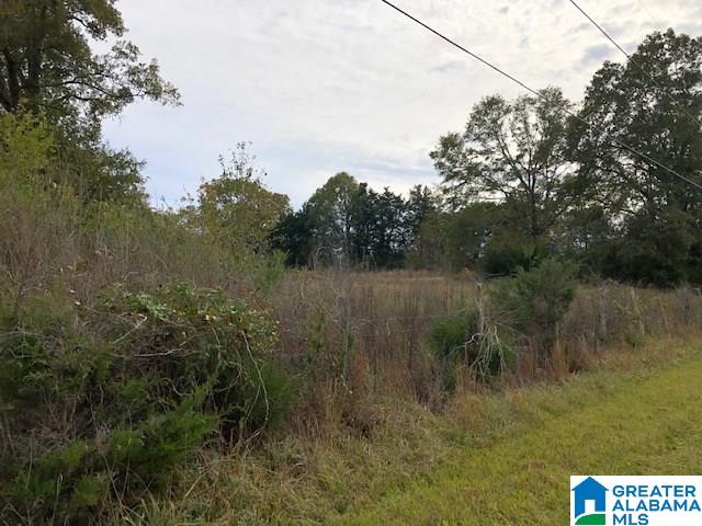 0 Hackney Street, Unit 8 29 ACRES Lincoln, AL 35096 - Photo 4 of 18