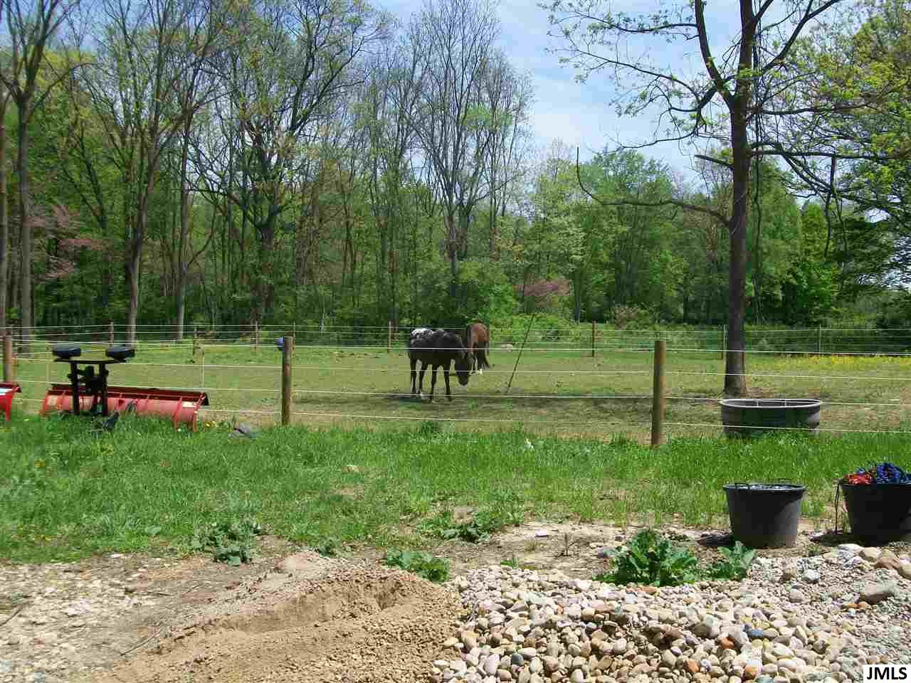 5815 Maple Dale Road Jackson, MI 49201 - Photo 6 of 9 Photo 7