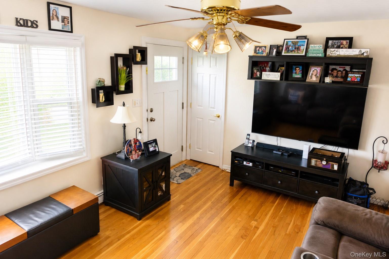 20 Carol Road Bethpage, NY 11714 - Photo 3 of 19 a living room with furniture and a flat screen tv