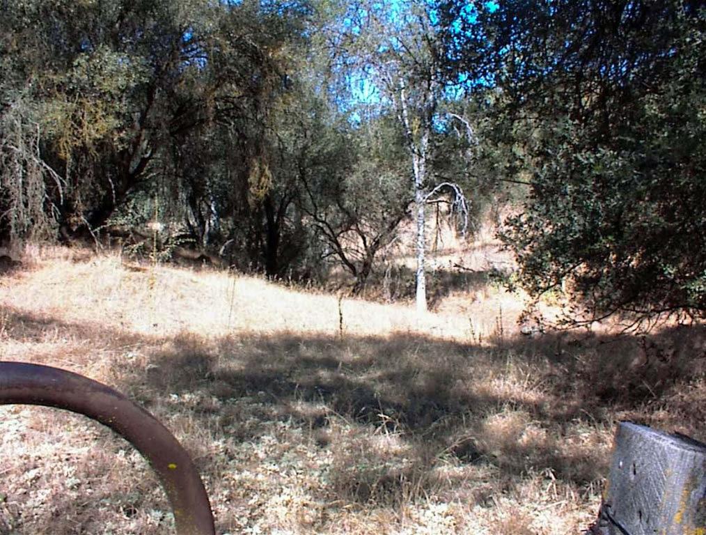 37033 Dunlap Road Squaw Valley, CA 93675 - Photo 23 of 32 Gallery Image 23