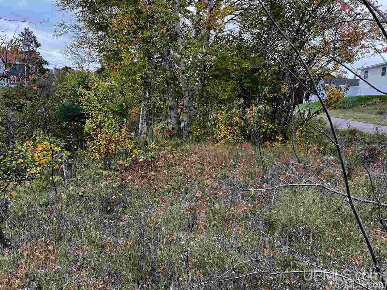 Tbd West Main Street, Unit 1 Mohawk, MI 49950 - Photo 9 of 16 Gallery Image 9