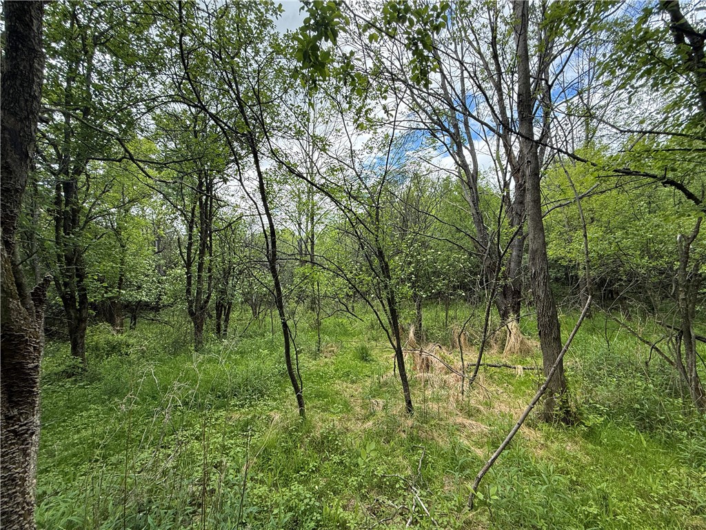 Hawley Road Bradford, NY 14815 - Photo 27 of 42