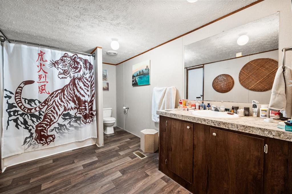14036 Old Texaco Road Conroe, TX 77302 - Photo 30 of 40 a bathroom with a sink and a mirror