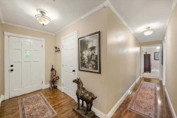 a very nice looking room with a rug