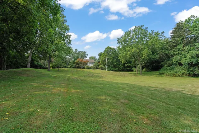a view of a grassy field with trees