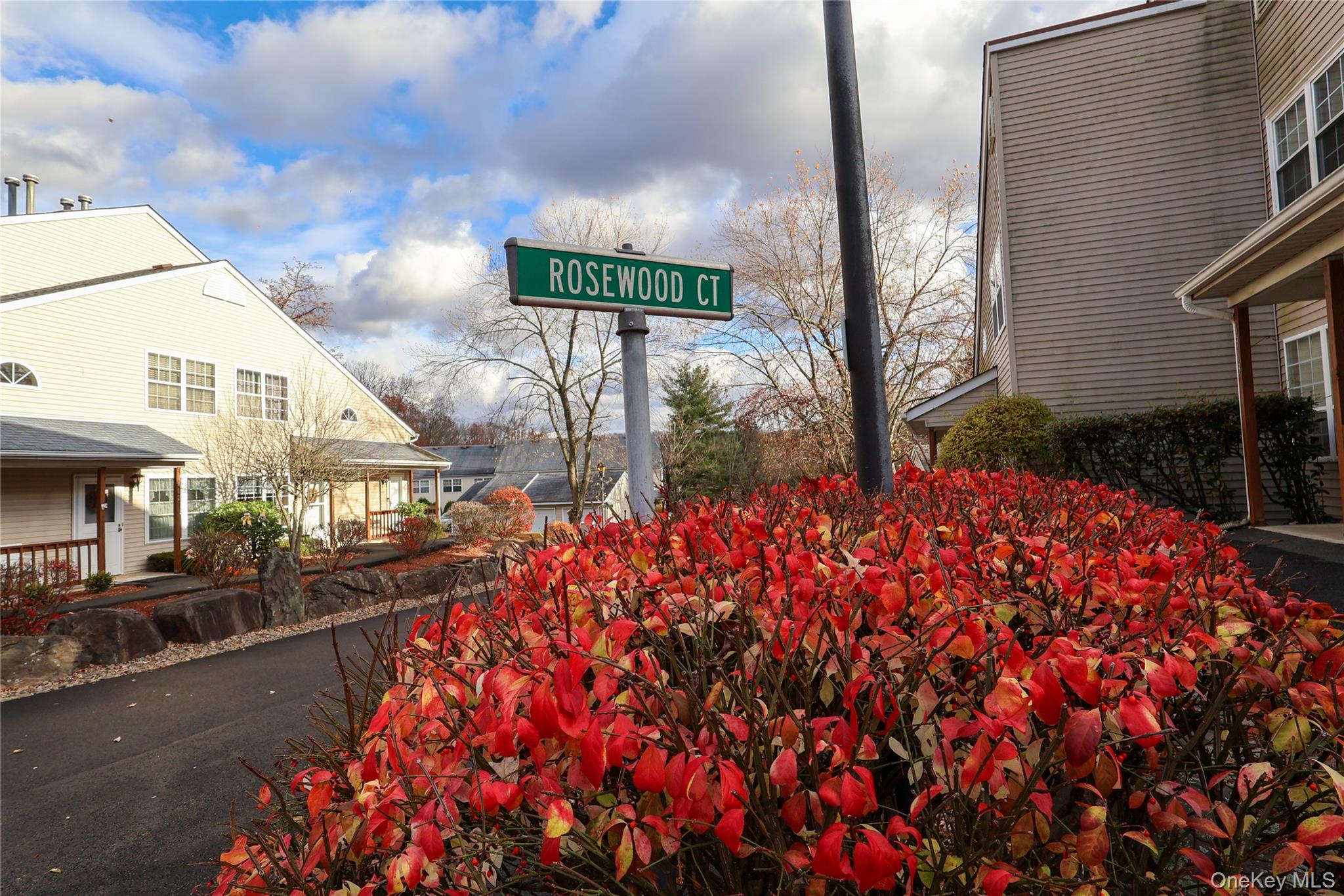 1306 Rosewood Court Highland Mills, NY 10930 - Photo 30 of 44 a street view with tall buildings