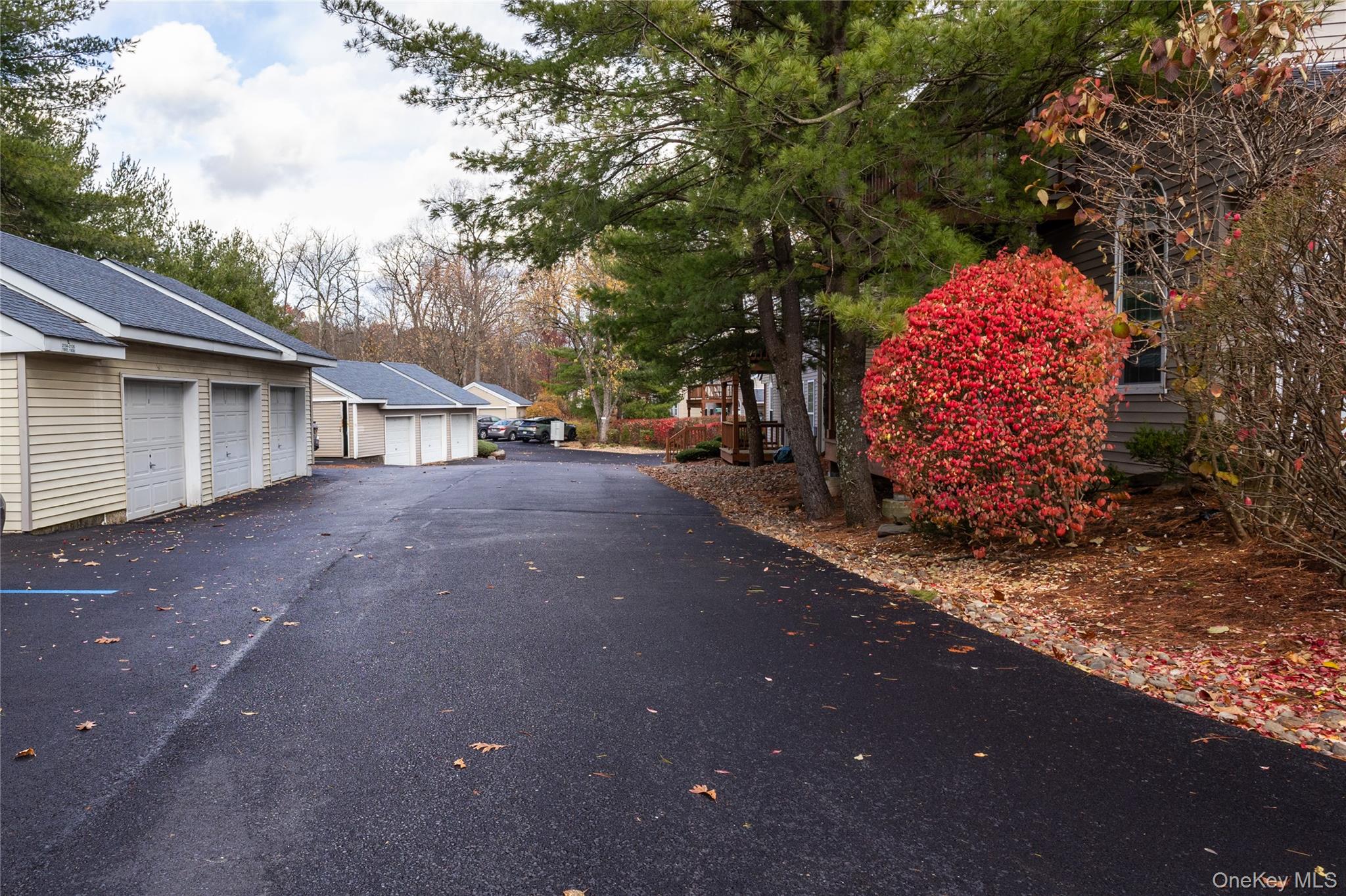 1306 Rosewood Court Highland Mills, NY 10930 - Photo 38 of 44 View of asphalt driveway with community garages