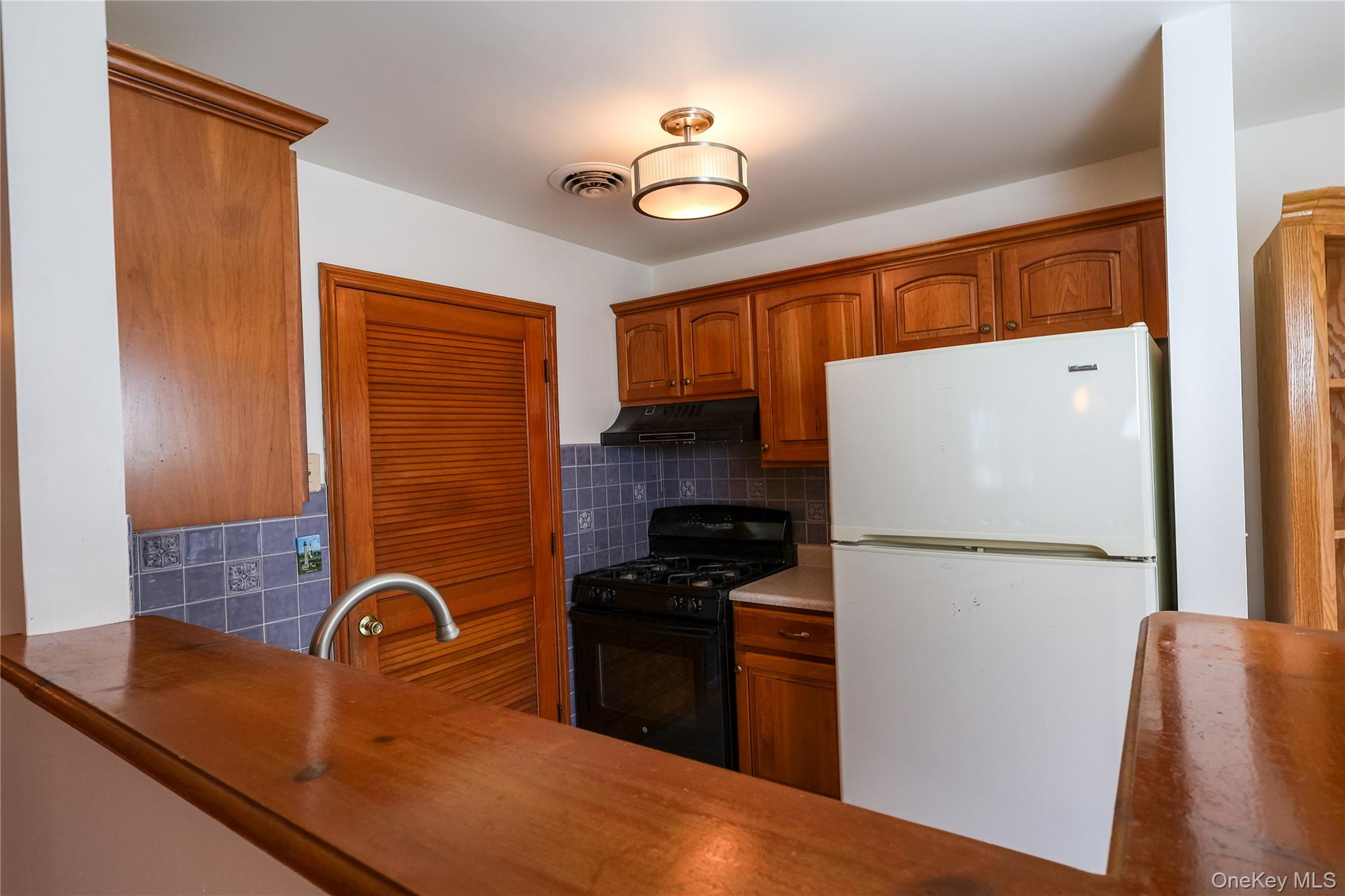 1306 Rosewood Court Highland Mills, NY 10930 - Photo 8 of 44 a kitchen with a refrigerator and a sink