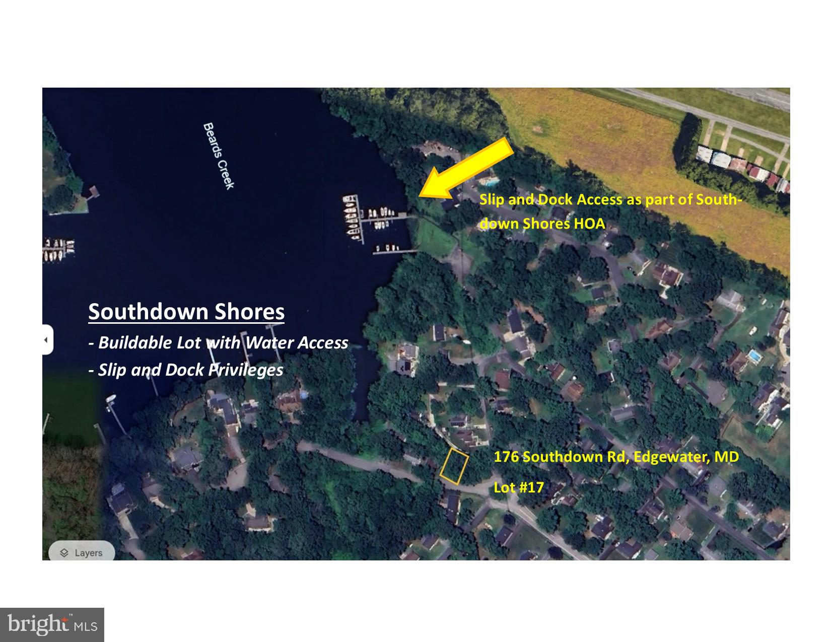 a black and white photo of a lots of trees