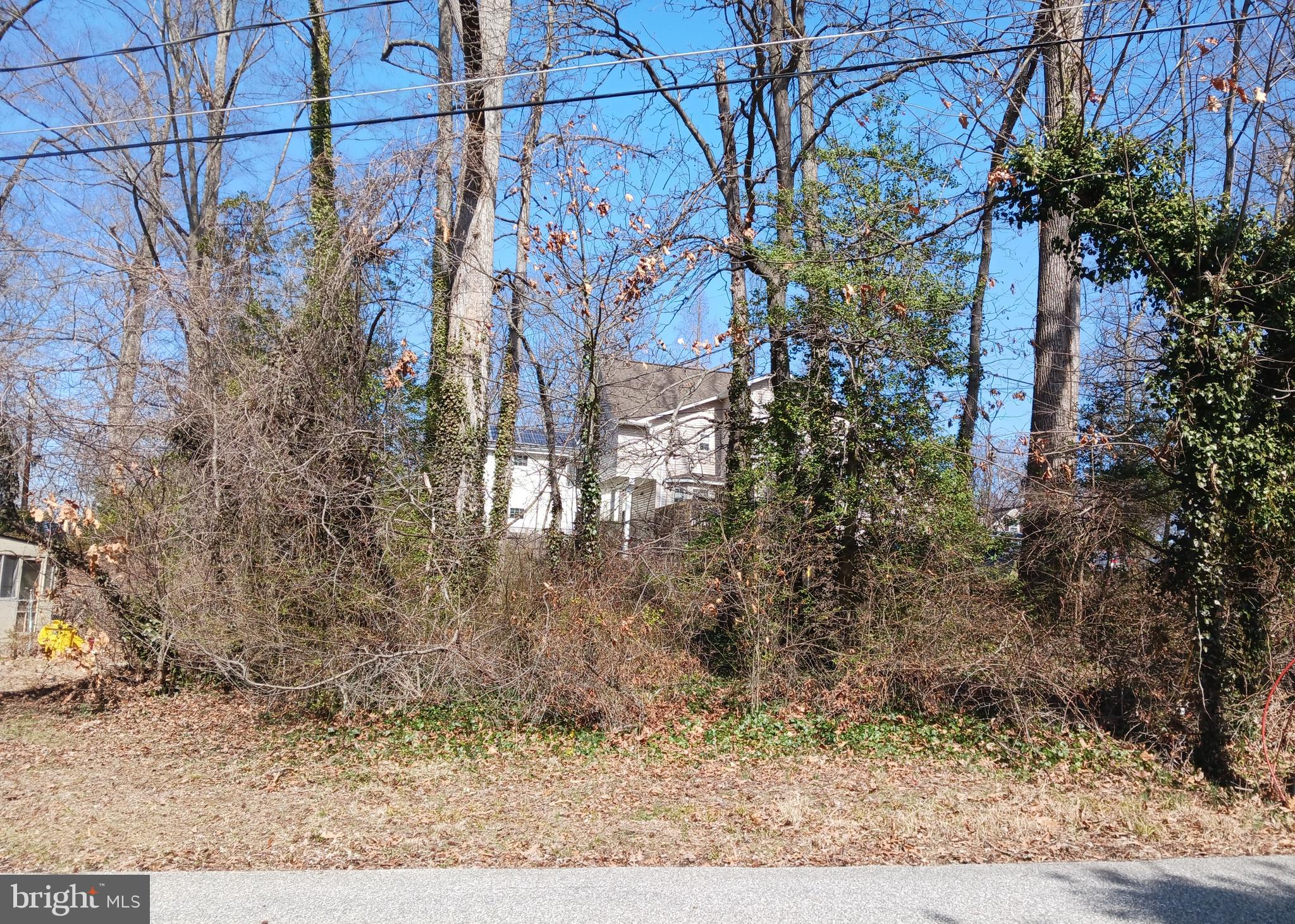 176 Southdown Road Edgewater, MD 21037 - Photo 3 of 13 a backyard of a house