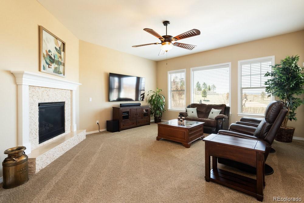 620 Hiddenbrook Court Highlands Ranch, CO 80126 - Photo 8 of 40 Gallery Image 8