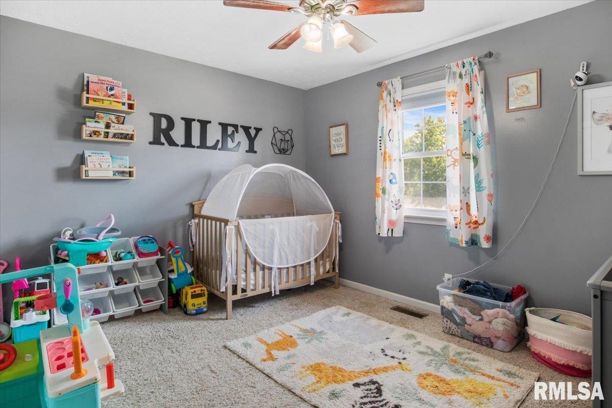 707 North Bitterroot Court Athens, IL 62613 - Photo 21 of 33 Gallery Image 21