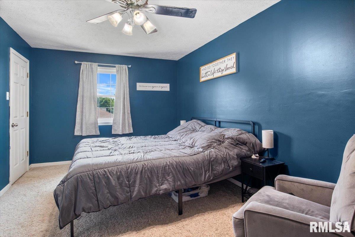 707 North Bitterroot Court Athens, IL 62613 - Photo 27 of 33 Gallery Image 27